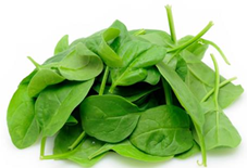 Grøn salat - info