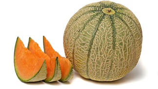 Melon - info