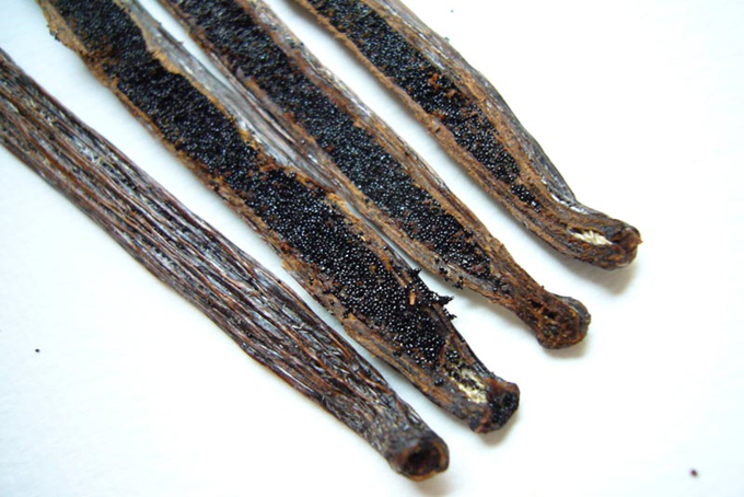 Vanilje - Vanilla planifolia