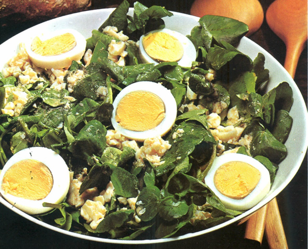 Brøndkarsesalat med æg