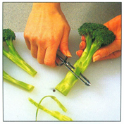 Grønsagsringe på broccoli