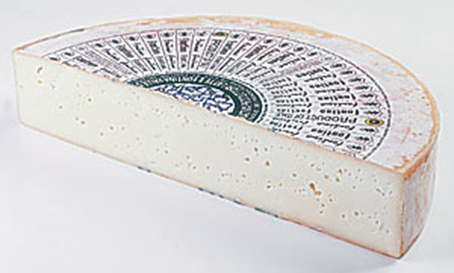 Fontina