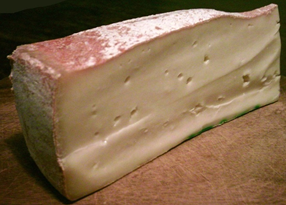 Fontina