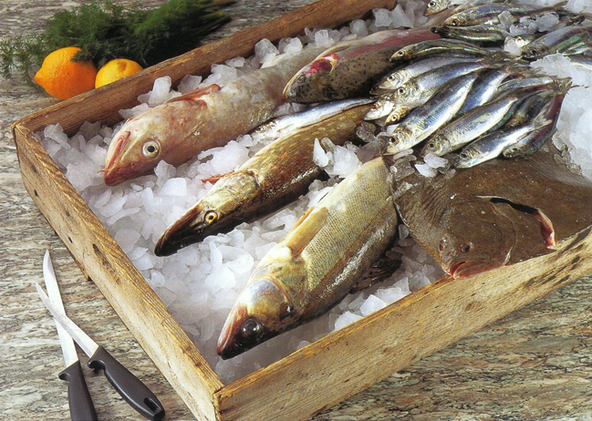 At rense og tilberede frisk og frossen fisk