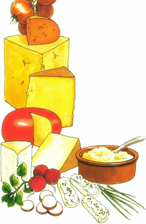 Værd at vide om ost