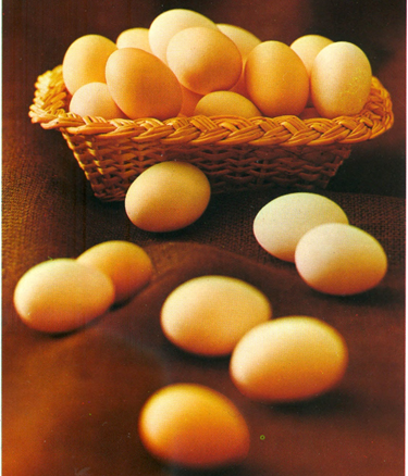 Værd at vide om æg