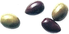 Ciabatta med oliven og timian - det er på Kogebog.dk 💘