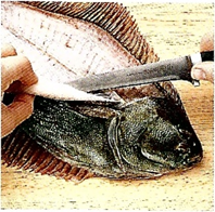 Filetering af fisk- bedst på Kogebog.dk 💘