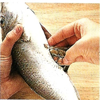 Filetering af fisk- bedst på Kogebog.dk 💘