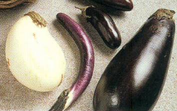 Lækker aubergine gryde