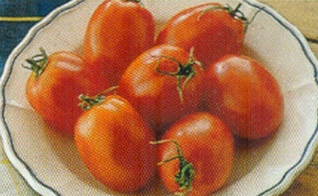 Nye kartofler med tomater
