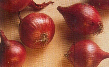 Sprød tomatgratin
