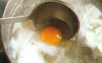 Æg Florentine 2