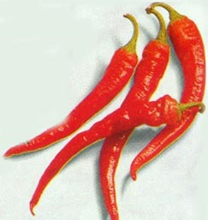 Chili og peberfrugt - hed og mild