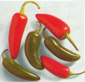 Chili og peberfrugt - hed og mild