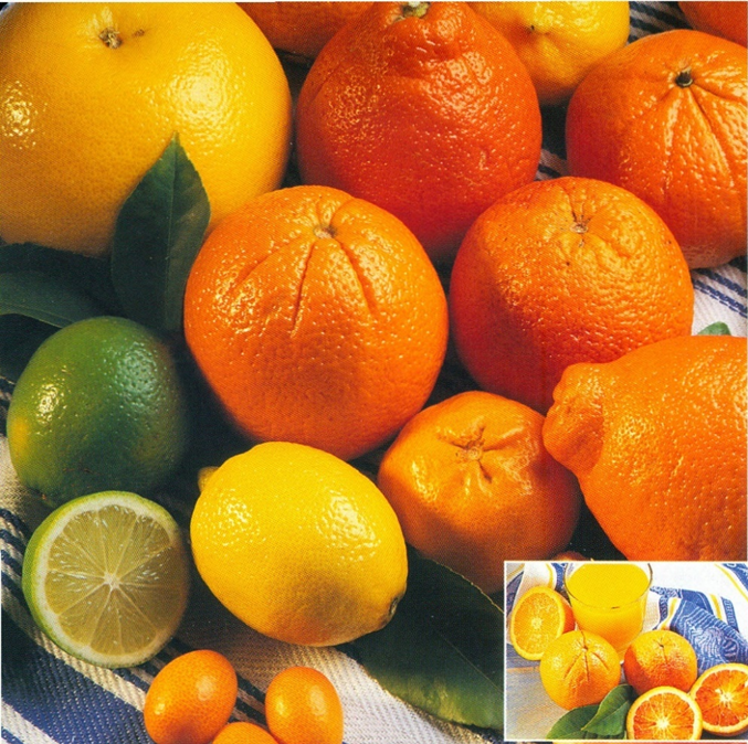 Citrusguide