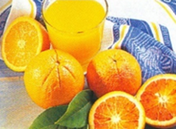 Citrusguide