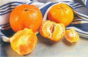 Citrusguide