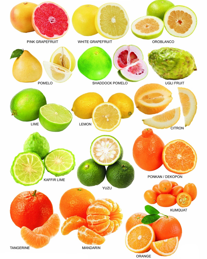 Citrusguide