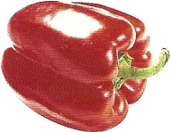 Rød peberfrugtsuppe